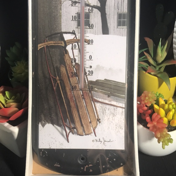 NIP Billy Jacobs “After the Dark Sled Ride”Primative Thermometer - Picture 3 of 6